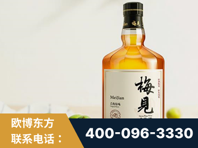 北流-梅见青梅酒